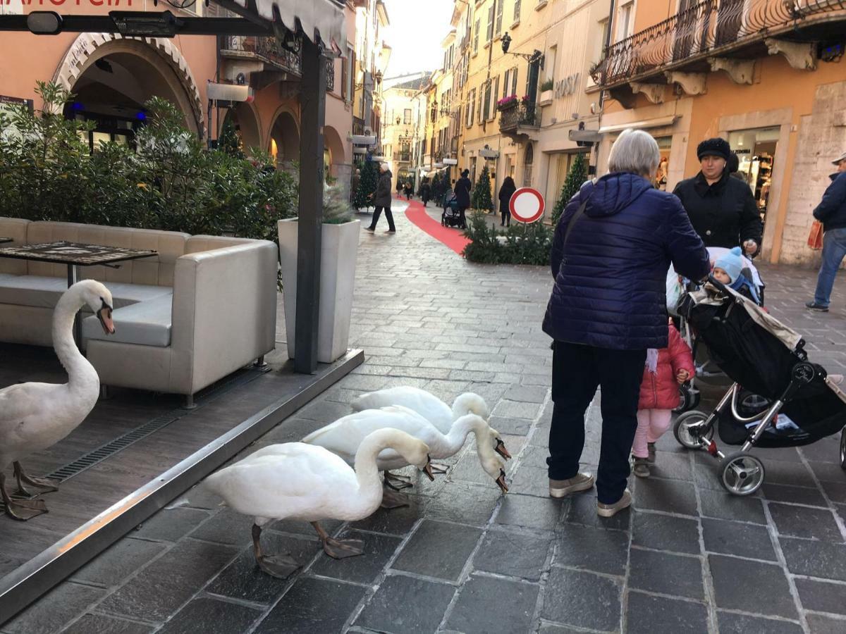 Horto Terapeutico Home Desenzano del Garda Luaran gambar